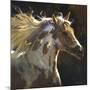 Spirit Horse-Carolyne Hawley-Mounted Art Print