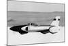 Spirit of America' Land Speed Record Car, C1963-1964-null-Mounted Photographic Print