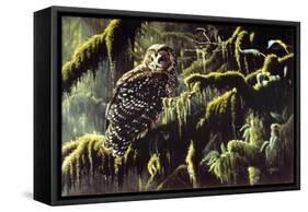 Spirit of Ancient Forests - Spotted Owl-Wilhelm Goebel-Framed Stretched Canvas
