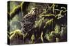 Spirit of Ancient Forests - Spotted Owl-Wilhelm Goebel-Stretched Canvas