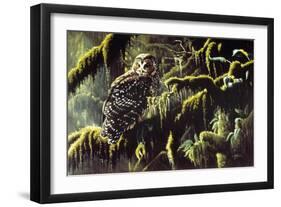 Spirit of Ancient Forests - Spotted Owl-Wilhelm Goebel-Framed Giclee Print