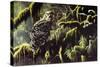 Spirit of Ancient Forests - Spotted Owl-Wilhelm Goebel-Stretched Canvas