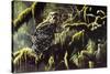 Spirit of Ancient Forests - Spotted Owl-Wilhelm Goebel-Stretched Canvas