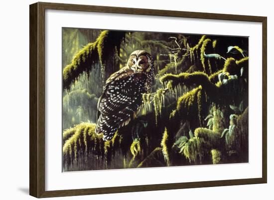 Spirit of Ancient Forests - Spotted Owl-Wilhelm Goebel-Framed Giclee Print