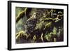 Spirit of Ancient Forests - Spotted Owl-Wilhelm Goebel-Framed Giclee Print