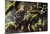 Spirit of Ancient Forests - Spotted Owl-Wilhelm Goebel-Mounted Giclee Print