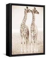 Spirit of Life 1-Frank & Susann Parker-Framed Stretched Canvas