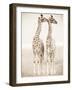 Spirit of Life 1-Frank & Susann Parker-Framed Art Print