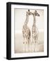 Spirit of Life 1-Frank & Susann Parker-Framed Art Print