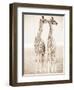 Spirit of Life 1-Frank & Susann Parker-Framed Art Print