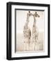 Spirit of Life 1-Frank & Susann Parker-Framed Art Print