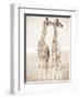 Spirit of Life 1-Frank & Susann Parker-Framed Art Print