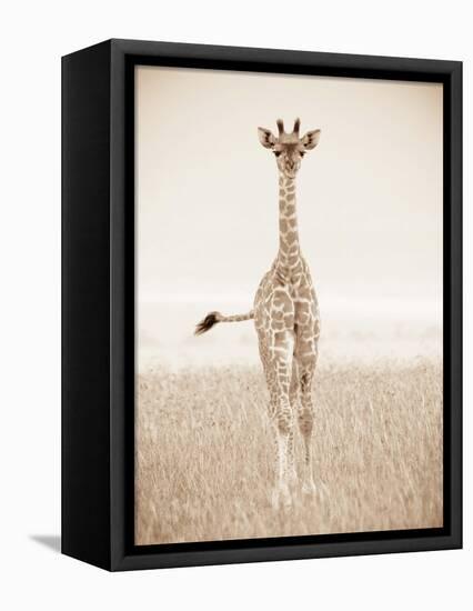 Spirit of Life 2-Frank & Susann Parker-Framed Stretched Canvas