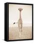 Spirit of Life 2-Frank & Susann Parker-Framed Stretched Canvas