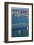 Spirit of New Zealand Tall Ship, Auckland Harbour Bridge, Auckland, North Island, New Zealand-David Wall-Framed Photographic Print