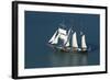 Spirit of New Zealand Tall Ship, Waitemata Harbour, Auckland, North Island, New Zealand-David Wall-Framed Photographic Print