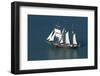 Spirit of New Zealand Tall Ship, Waitemata Harbour, Auckland, North Island, New Zealand-David Wall-Framed Photographic Print