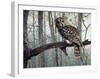 Spirit of the Forest-Russell Cobane-Framed Giclee Print