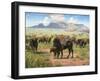 Spirit of the Plains-Jack Sorenson-Framed Art Print