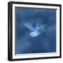 Spirit of the Sea-Jacob Berghoef-Framed Premium Photographic Print