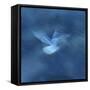 Spirit of the Sea-Jacob Berghoef-Framed Stretched Canvas