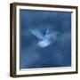 Spirit of the Sea-Jacob Berghoef-Framed Photographic Print