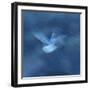 Spirit of the Sea-Jacob Berghoef-Framed Photographic Print