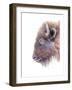 Spirit of the West Buffalo-Michelle Faber-Framed Giclee Print