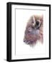 Spirit of the West Buffalo-Michelle Faber-Framed Giclee Print