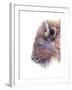 Spirit of the West Buffalo-Michelle Faber-Framed Premium Giclee Print