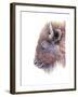 Spirit of the West Buffalo-Michelle Faber-Framed Premium Giclee Print