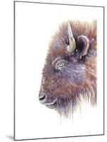 Spirit of the West Buffalo-Michelle Faber-Mounted Premium Giclee Print