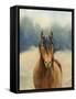 Spirit of the West I-Julia Purinton-Framed Stretched Canvas