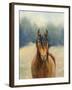 Spirit of the West I-Julia Purinton-Framed Art Print