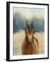 Spirit of the West I-Julia Purinton-Framed Art Print