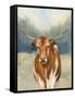 Spirit of the West II-Julia Purinton-Framed Stretched Canvas