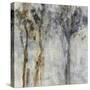 Spirit of Trees-Jodi Maas-Stretched Canvas