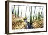 Spirit of Water-Viviane Fedieu Daniel-Framed Photographic Print