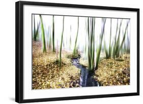 Spirit of Water-Viviane Fedieu Daniel-Framed Photographic Print