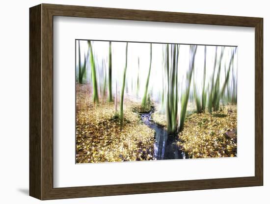 Spirit of Water-Viviane Fedieu Daniel-Framed Photographic Print