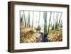 Spirit of Water-Viviane Fedieu Daniel-Framed Photographic Print