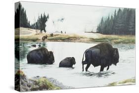 Spirit of Yellowstone-Rusty Frentner-Stretched Canvas