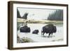 Spirit of Yellowstone-Rusty Frentner-Framed Giclee Print