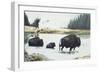 Spirit of Yellowstone-Rusty Frentner-Framed Giclee Print