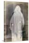 Spirit Photograph, c1896-Paul Nadar-Stretched Canvas