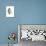 Spirit (Przewalski), 2013-Mark Adlington-Stretched Canvas displayed on a wall