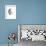 Spirit (Przewalski), 2013-Mark Adlington-Framed Giclee Print displayed on a wall