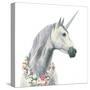 Spirit Unicorn I Square-James Wiens-Stretched Canvas