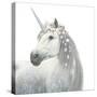 Spirit Unicorn II Square-James Wiens-Stretched Canvas