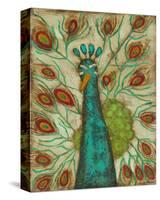 Spirited Peacock II-Anne Hempel-Stretched Canvas